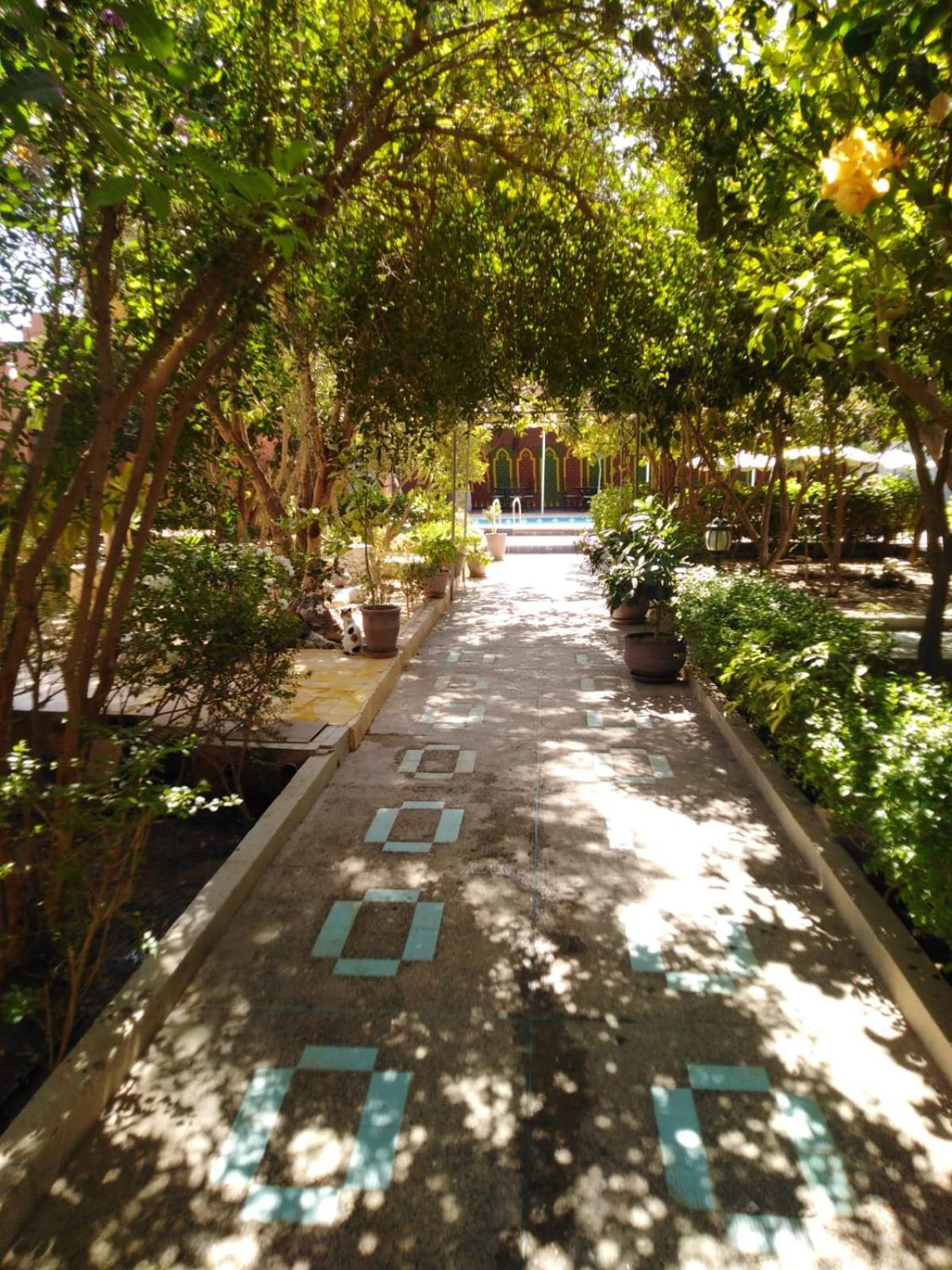 Riad Les Jardins Mabrouk Taroudant Exterior photo